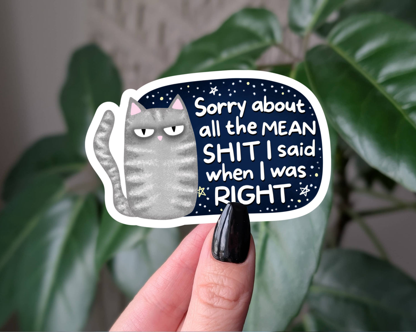 Sorry for Mean Shit Cat Funny Apology Sticker