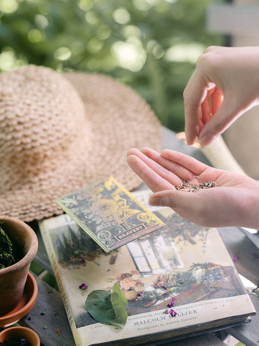 Mystery Seed Packet (Bravery) *HOLOGRAPHIC FOIL*