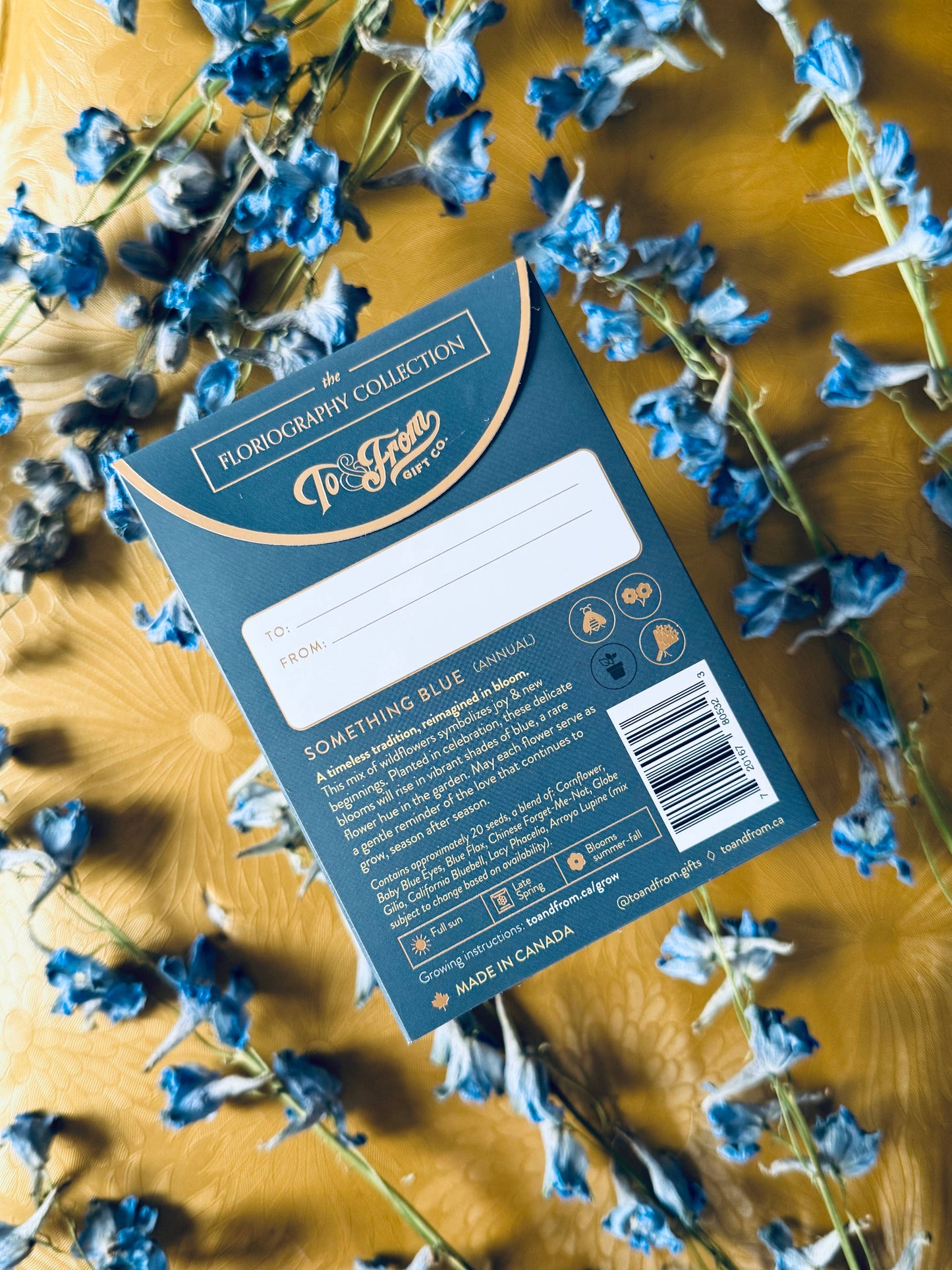 Something Blue Wildflowers (Devotion) - Wedding Seed Packet