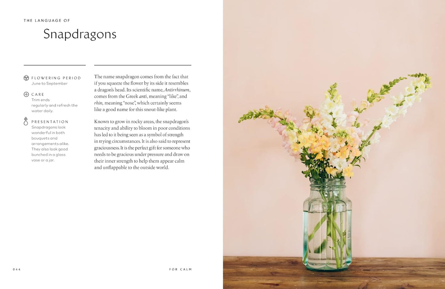 The Healing Power of Flowers