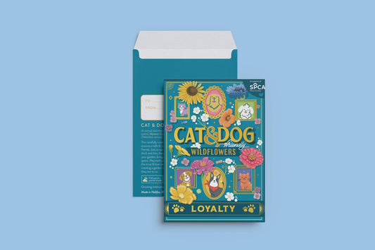 Cat and Dog-Friendly Wildflowers (Loyalty) - Seed Packet