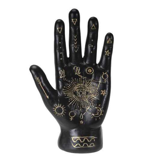 Fortune Teller Palm Hand Palmistry