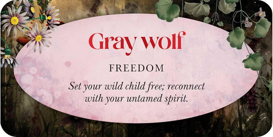 Animal Guide Mini Deck