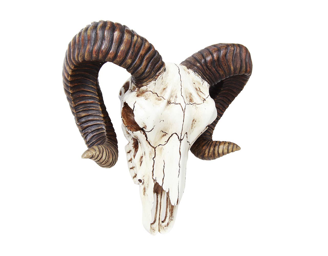 Ram Skull