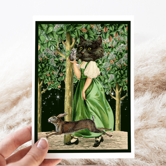 Greeting Card. Vintage Black Cat Holding Owl.