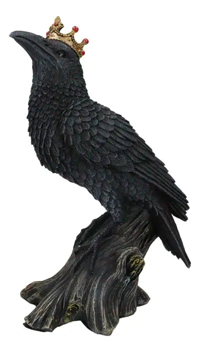Crowned Raven