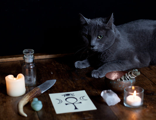 Cat Magick