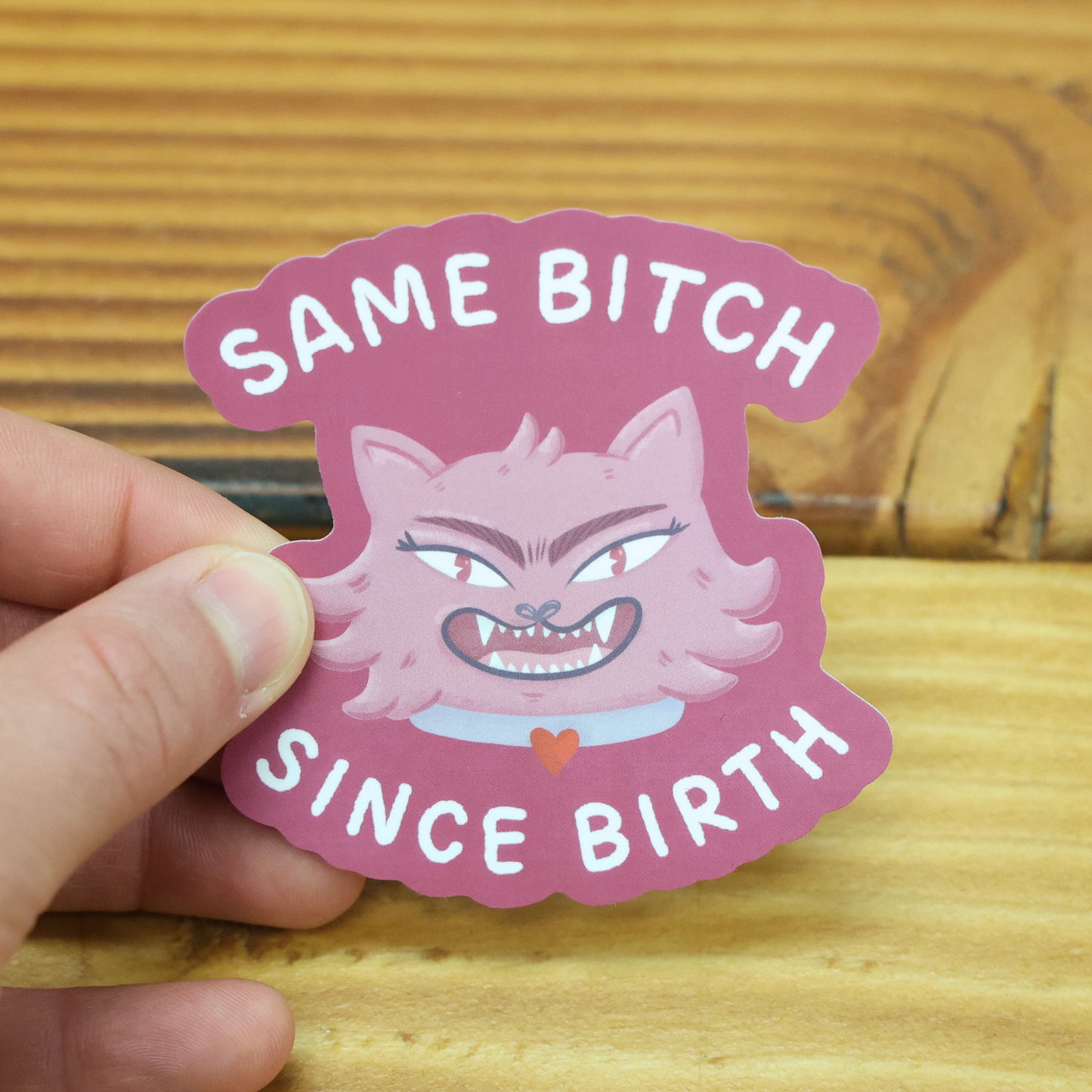 Same Bitch Since Birth Funny Vinyl Sticker