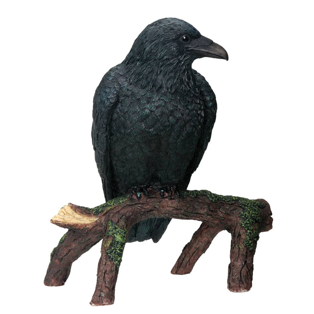 Raven on Branch
