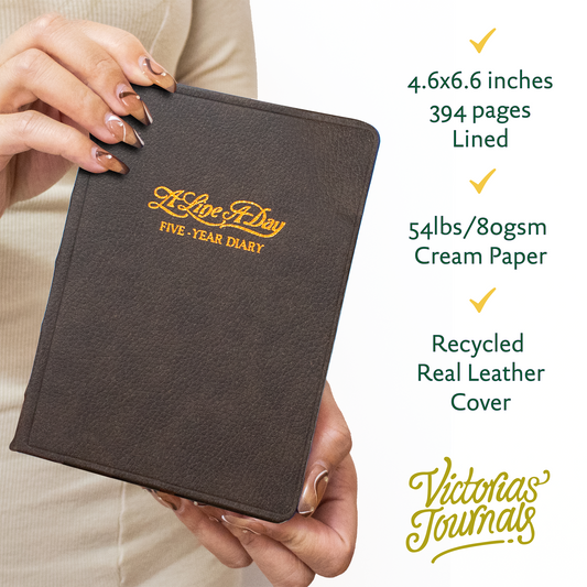 A Line a Day - 5 Year Real Leather Diary (Coffee)