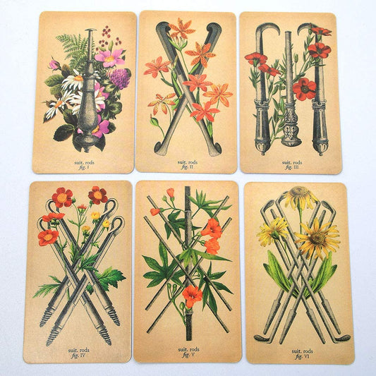 Antique Anatomy Tarot