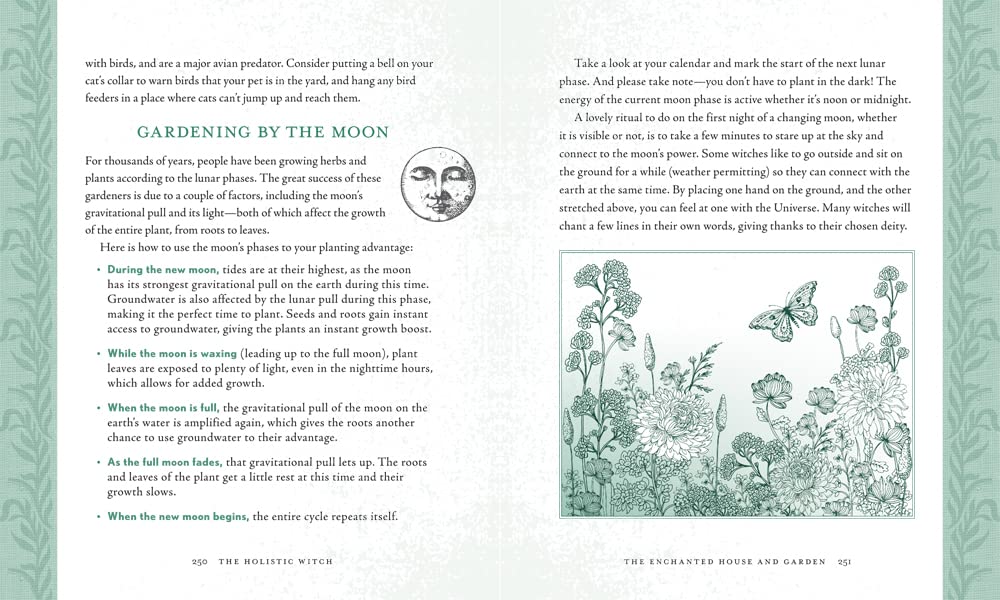 The Holistic Witch: Connecting with Your Personal Power for Magickal Self-Care