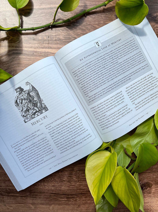 The Only Astrology Book You'll Ever Need