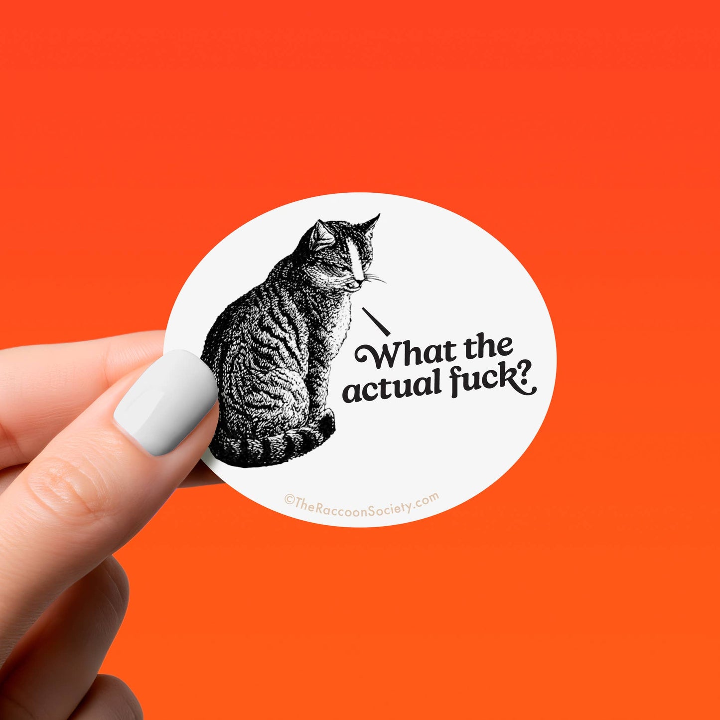 WHAT THE F*CK - Retro Cat Humor Funny Sticker