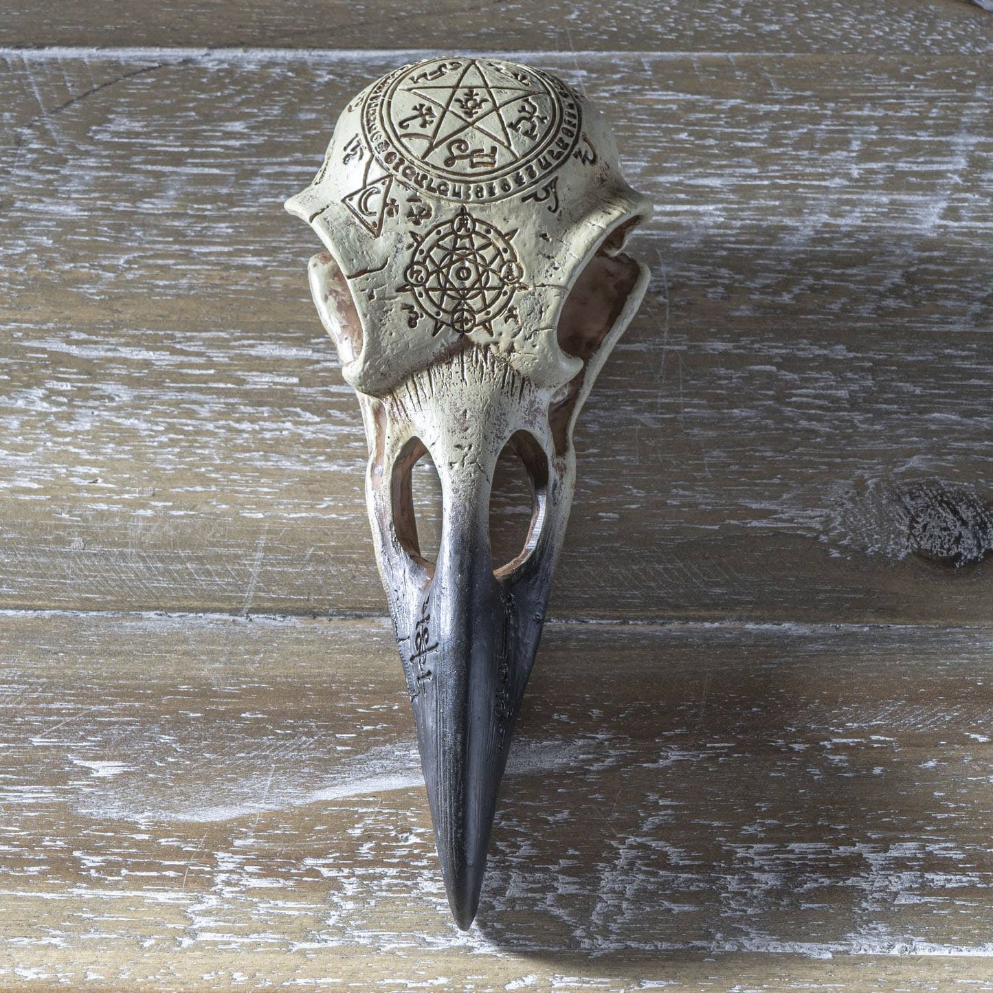 Omega Raven Skull