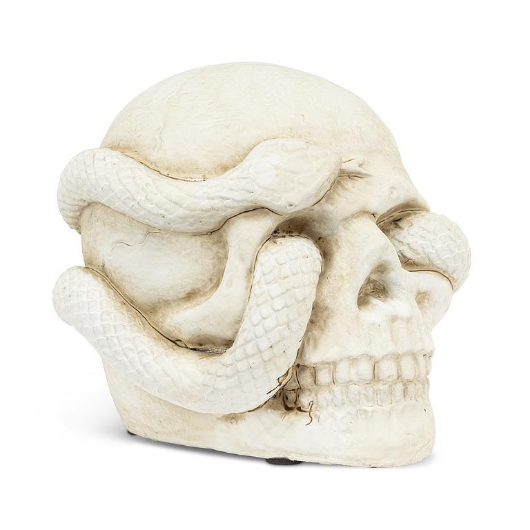 Small Skull With Snake