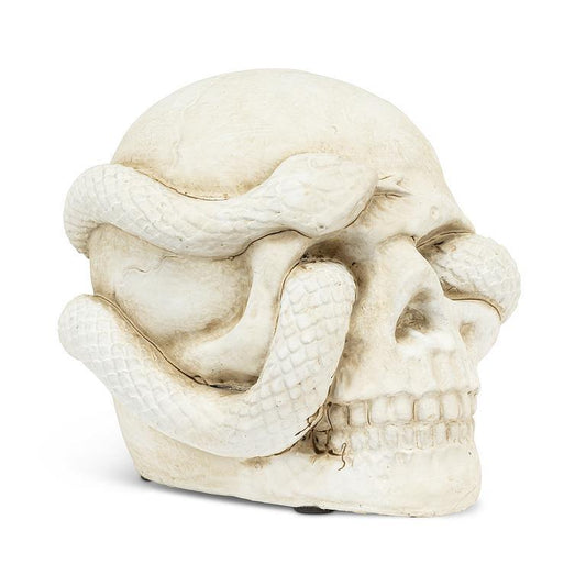 Small Skull With Snake