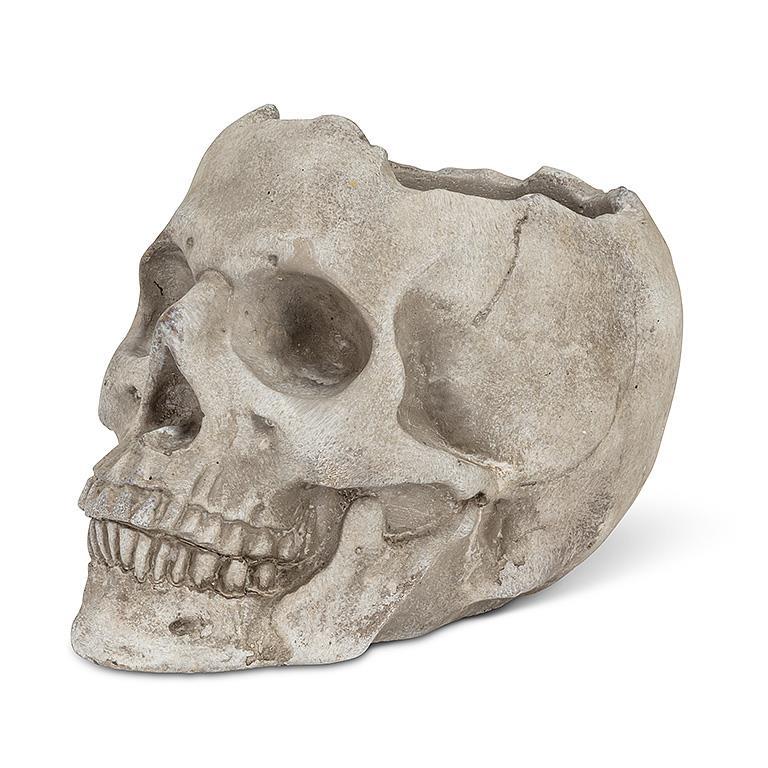 Skull Planter (3 Sizes)