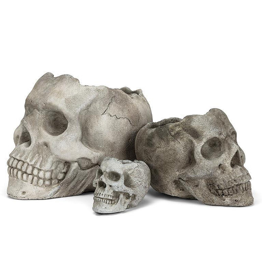 Skull Planter (3 Sizes)