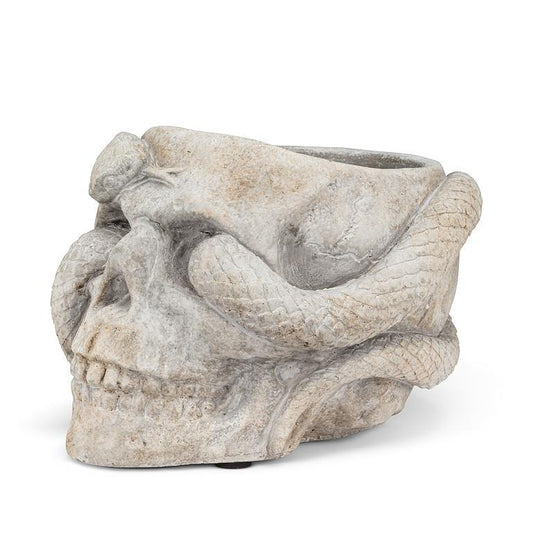 Skull Planter with Snake 4.5" Tall