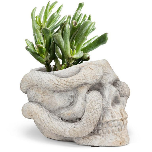 Skull Planter with Snake 4.5" Tall