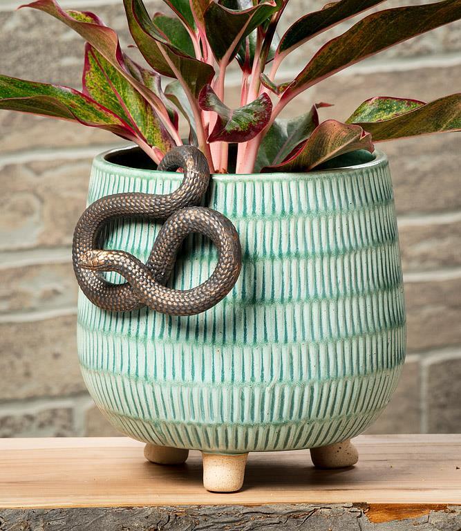 Hanging Snake