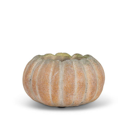 Low Pumpkin Planter