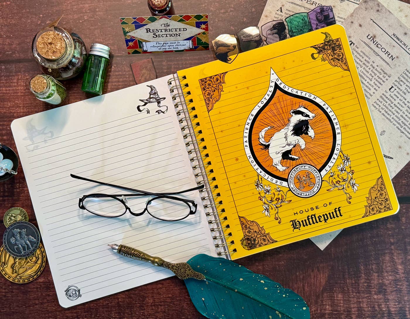 Harry Potter Sorting Hat Tabbed Journal