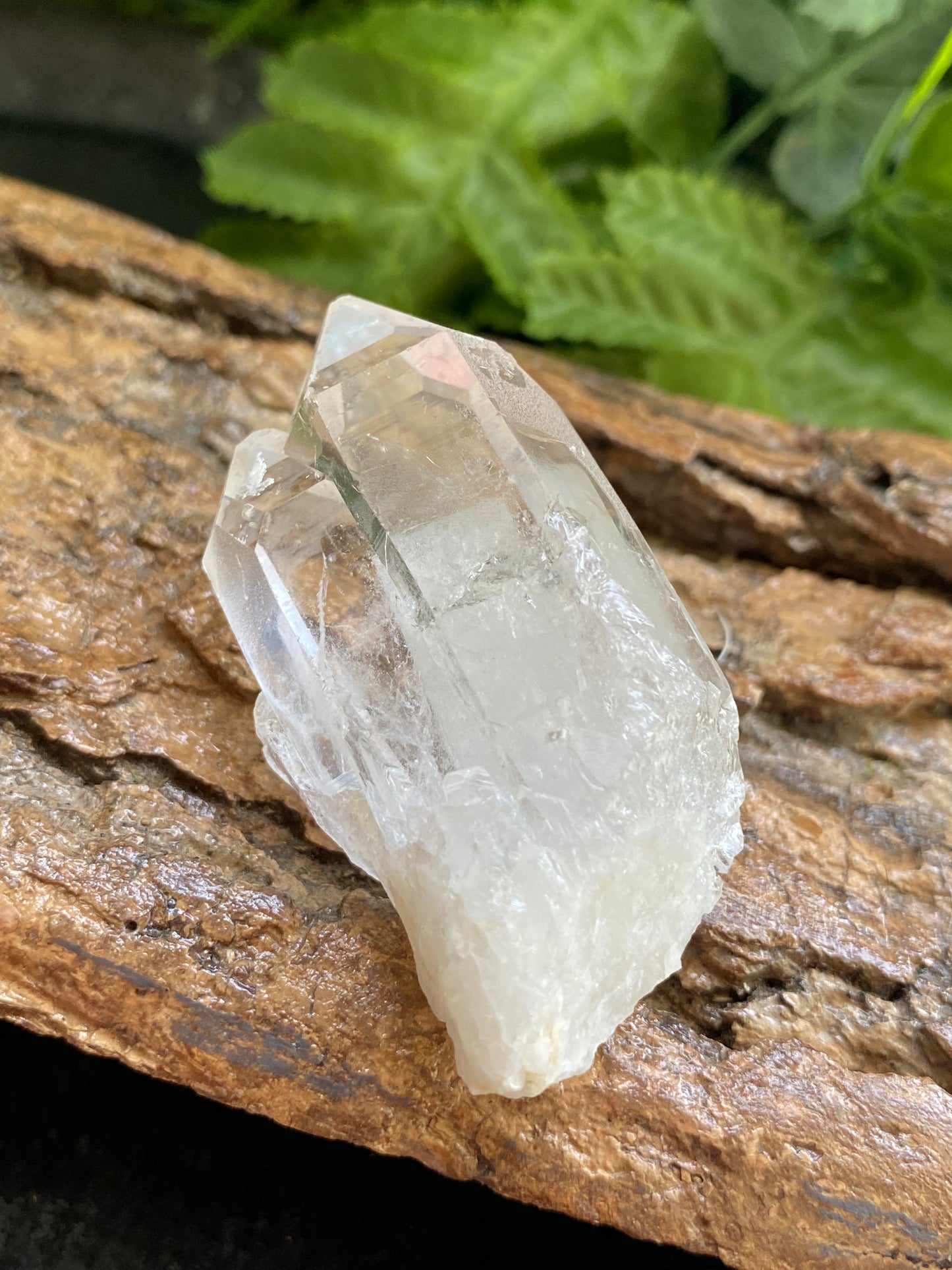 Clear Quartz Cluster