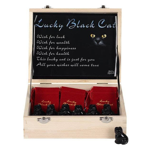 Lucky Black Cat Charm in a Bag