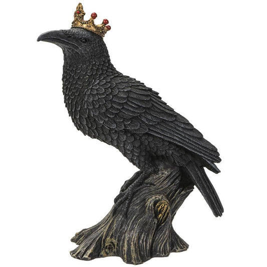 Crowned Raven
