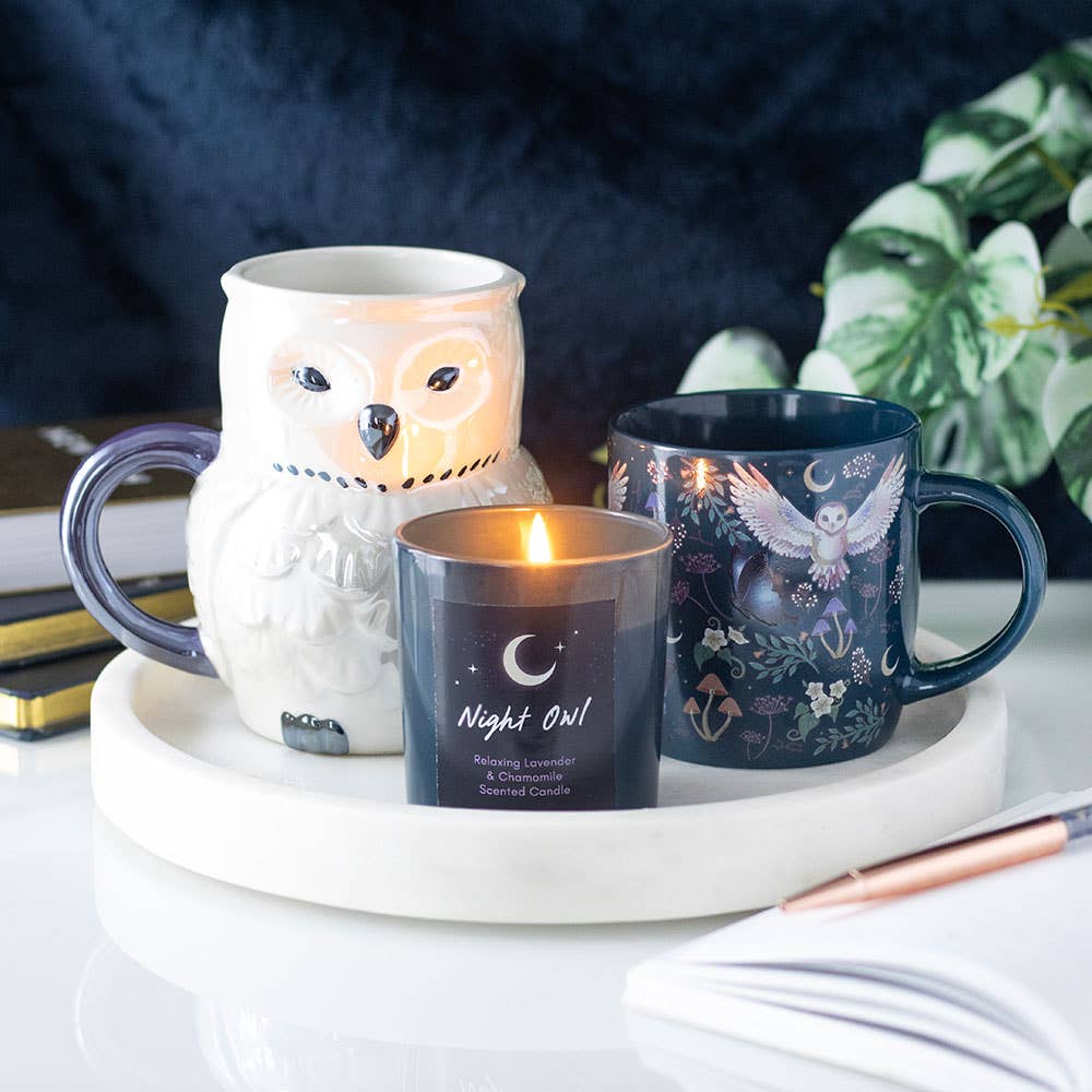 Night Flight Owl Mug