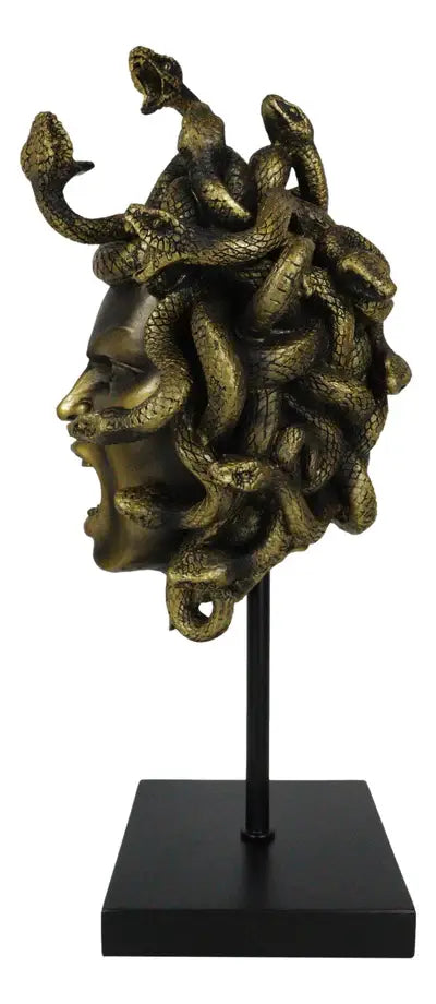 Head of Medusa