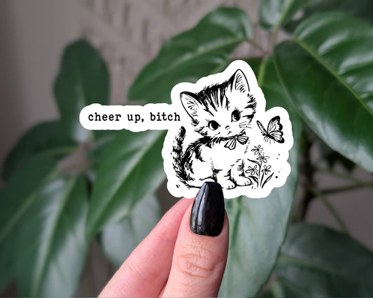Cheer Up, Bitch Cat Sticker, Funny Dark Humor : Loose