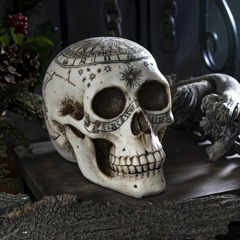 Astrology Skull Head