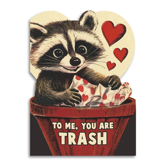 To Me, You Are Trash - Cute Raccoon Valentine’s Day Card