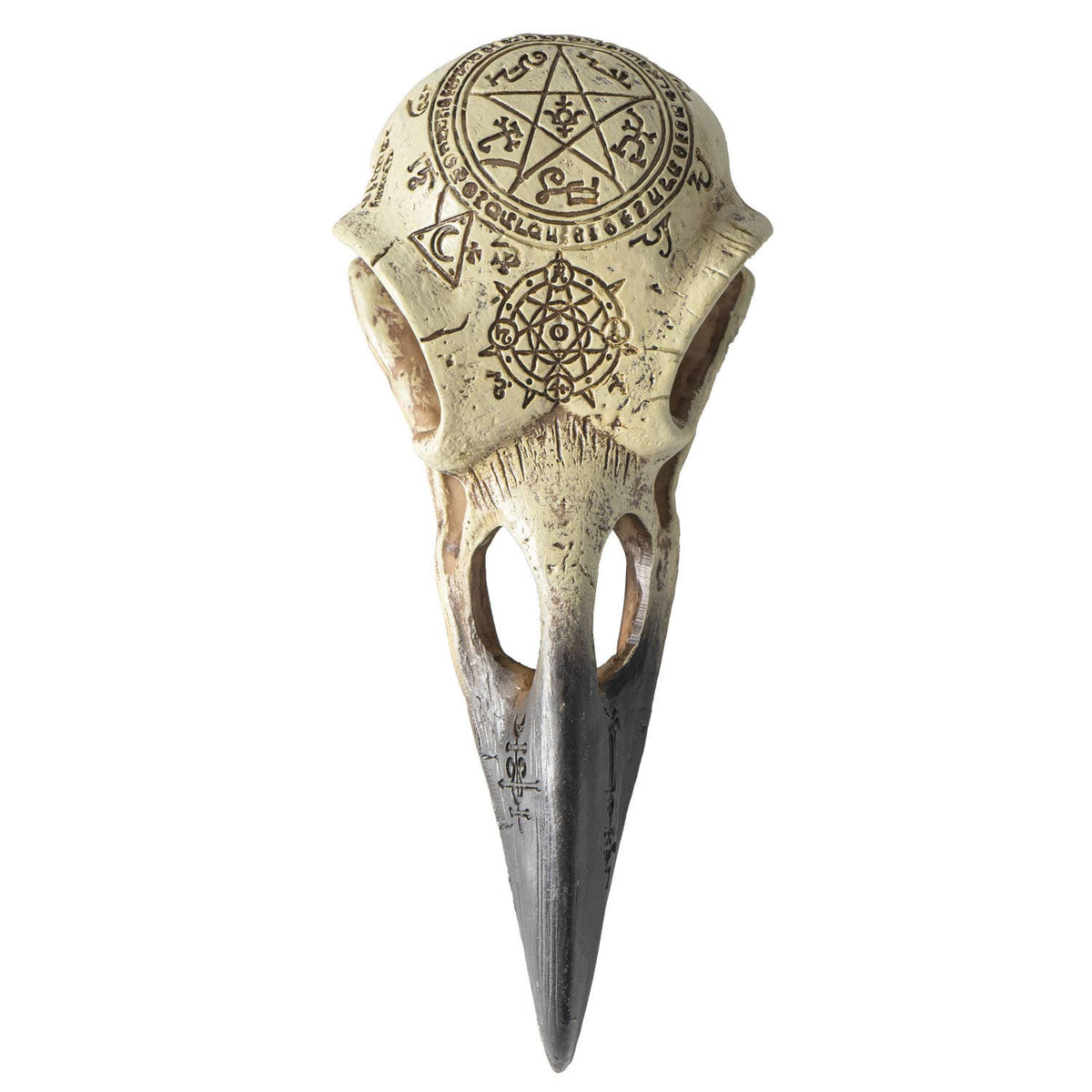 Omega Raven Omega Raven Skull – Purely Wicked Apothecary