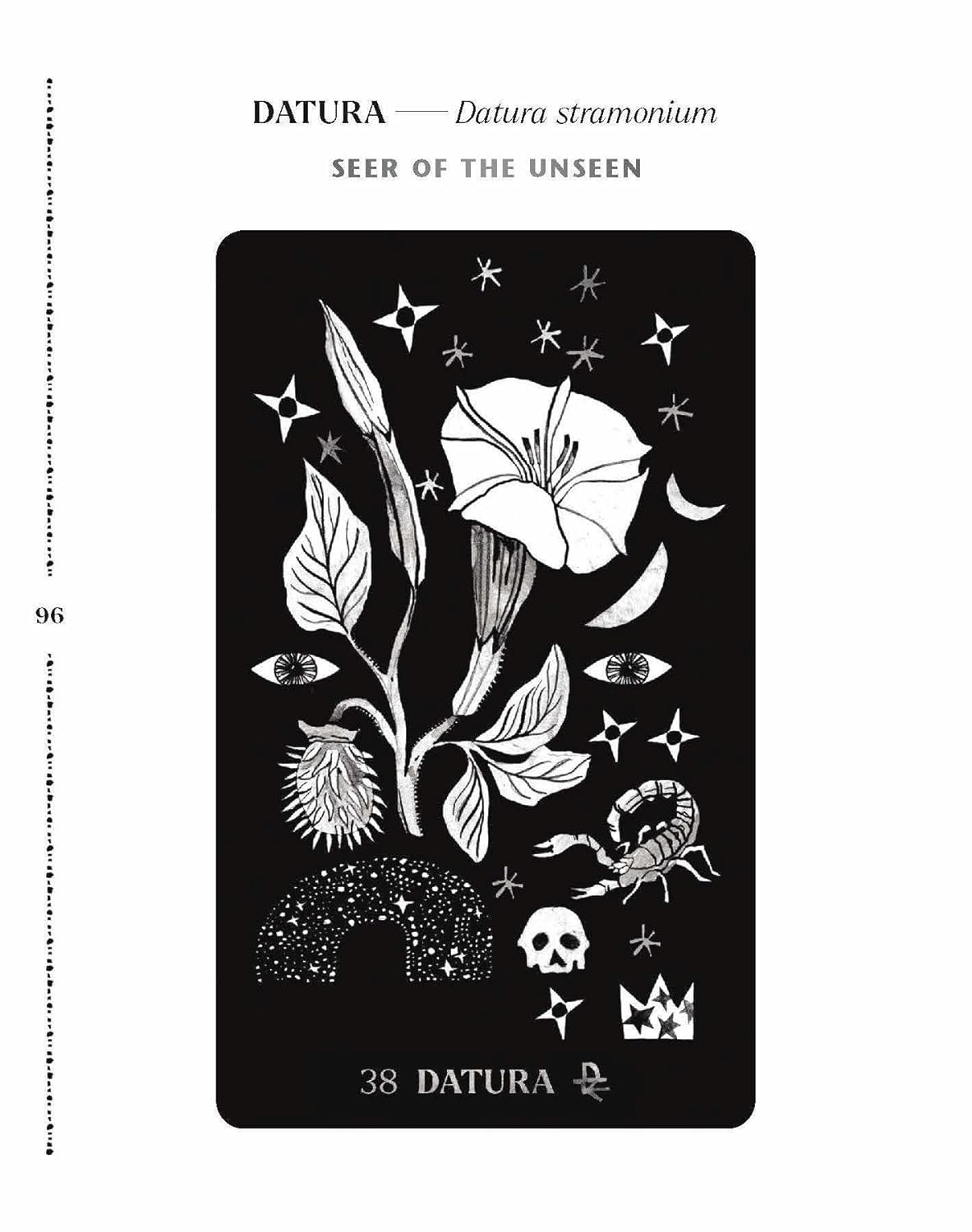 Dirt Gems: Plant Oracle Deck and Guidebook