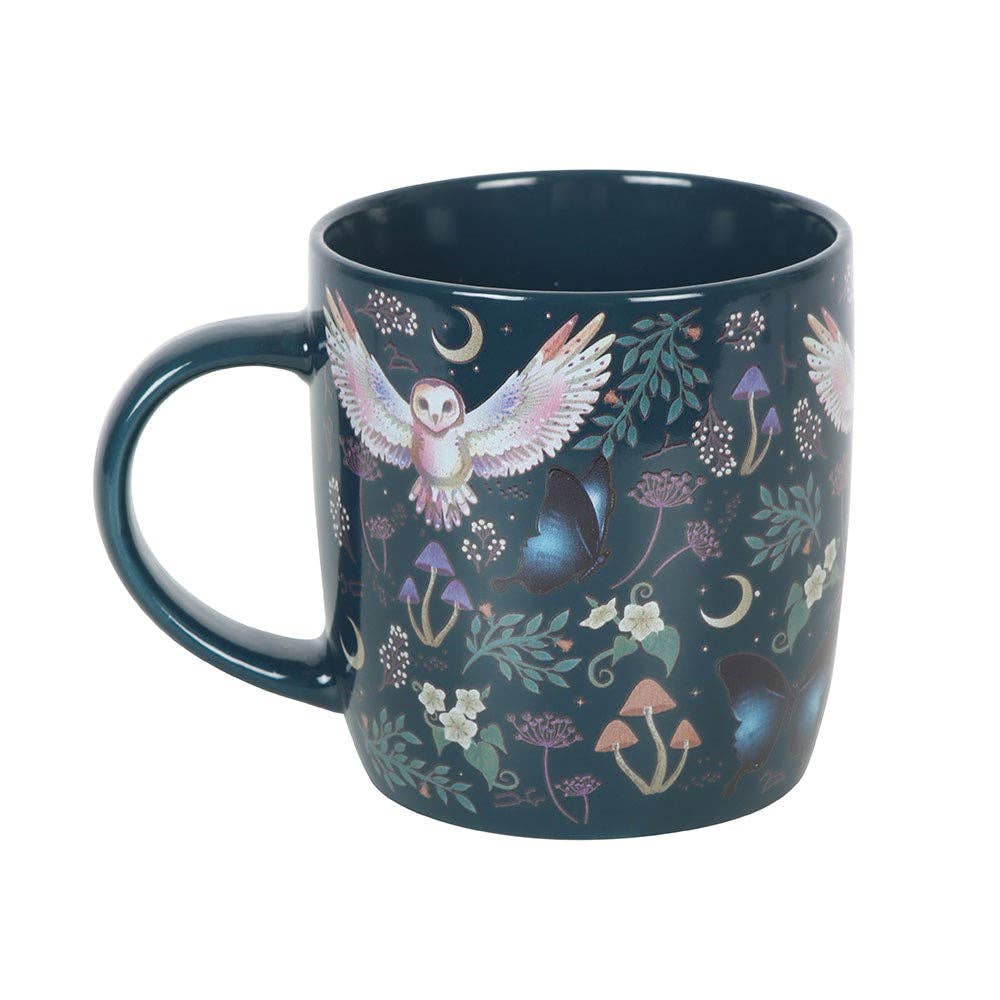 Night Flight Owl Mug