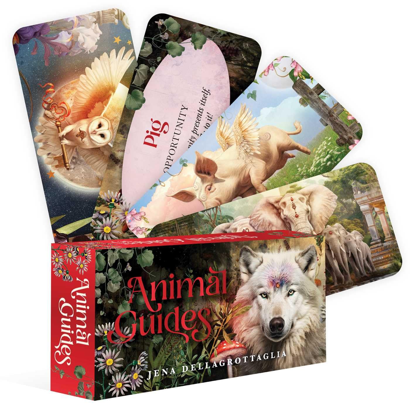 Animal Guide Mini Deck