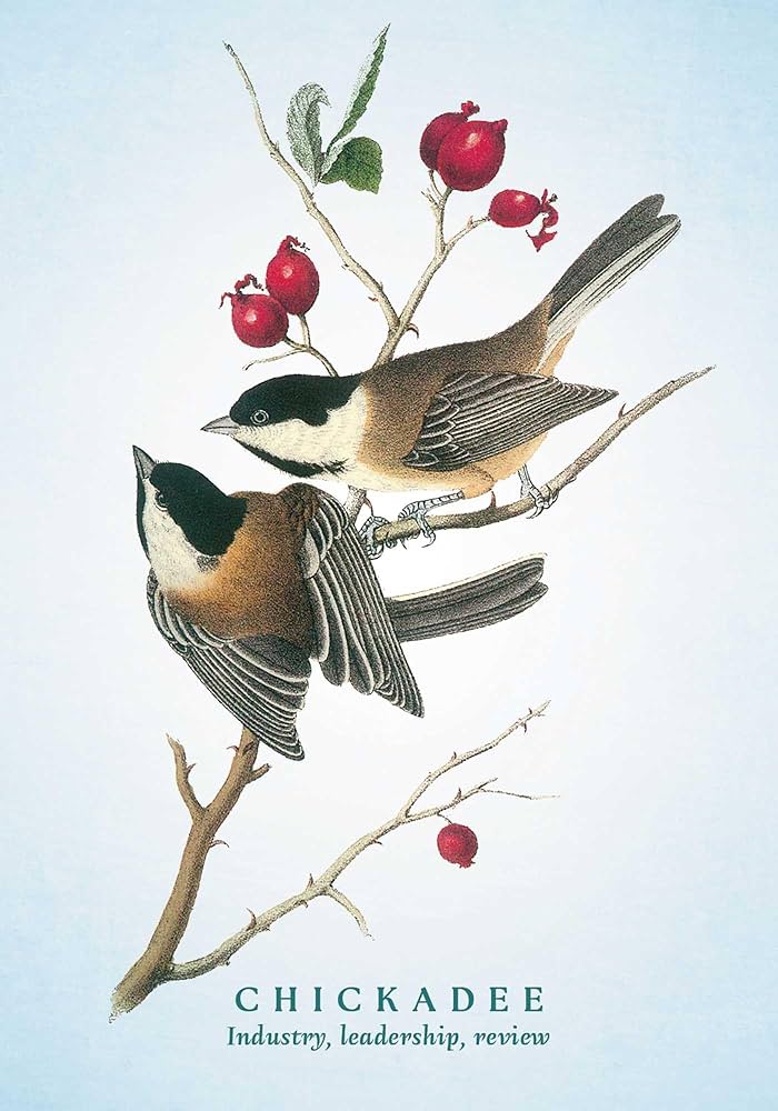 Spiritual Meaning of Birds Oracle Deck