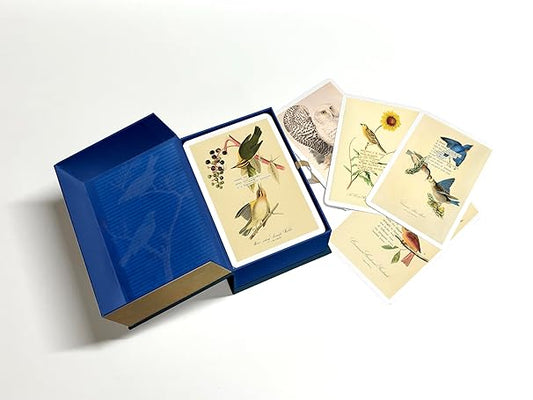 An Almanac of Birds: 100 Divinations for Uncertain Days