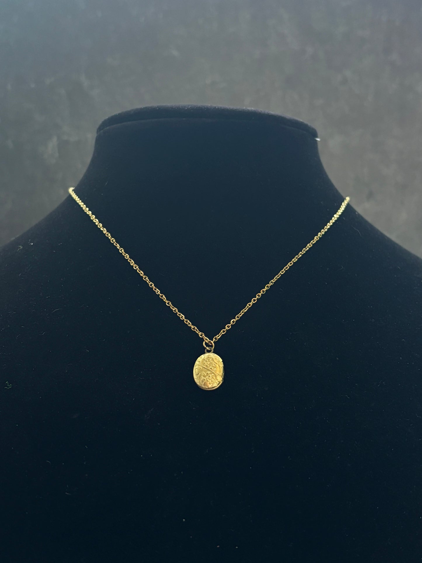 Dainty Gold Oval Locket Necklace