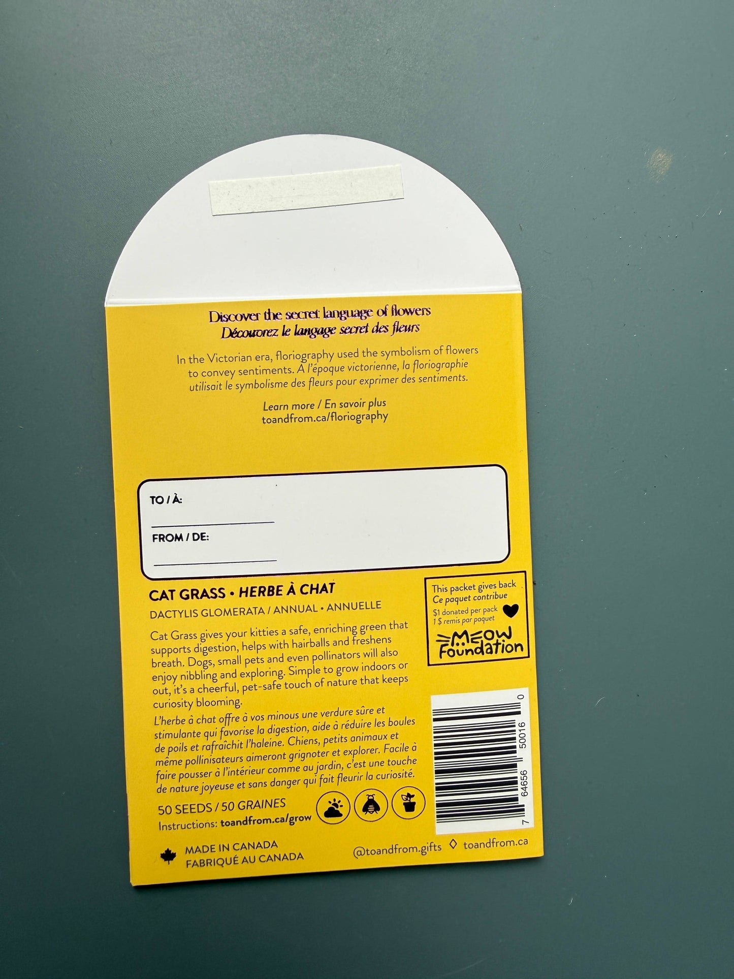 Cat Grass Seed Packet (Curiosity) with Purple Foil