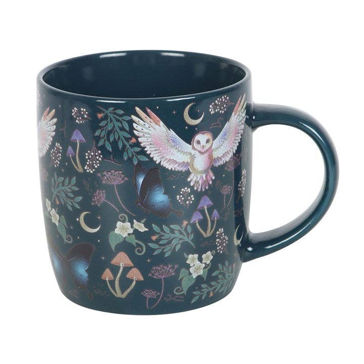 Night Flight Owl Mug