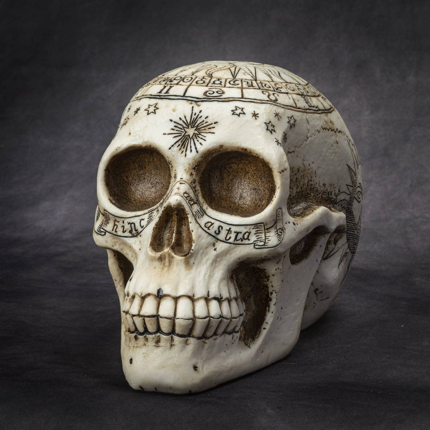 Astrology Skull Head