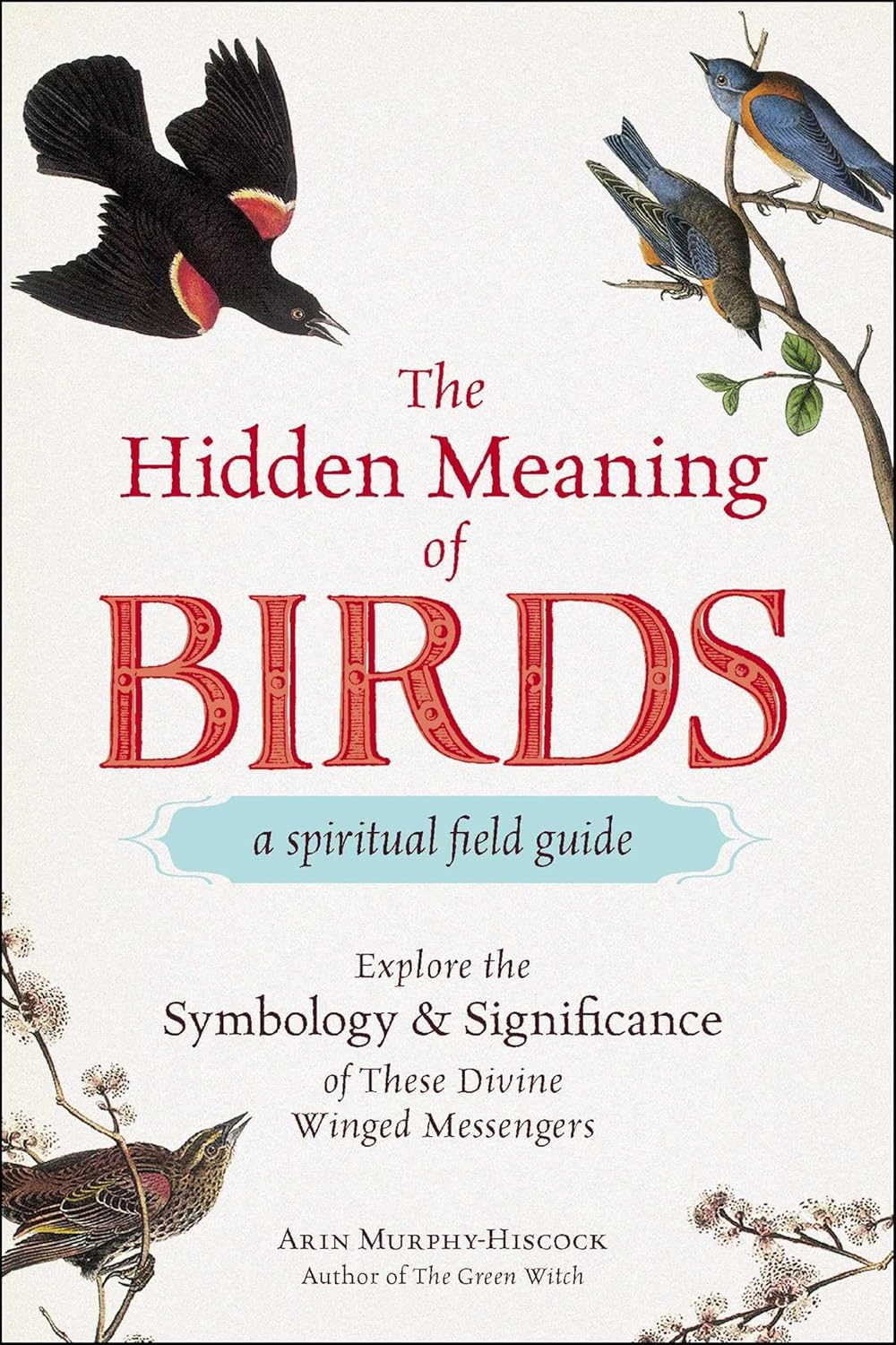 The Hidden Meaning of Birds