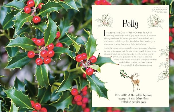 An Anthology of Christmas