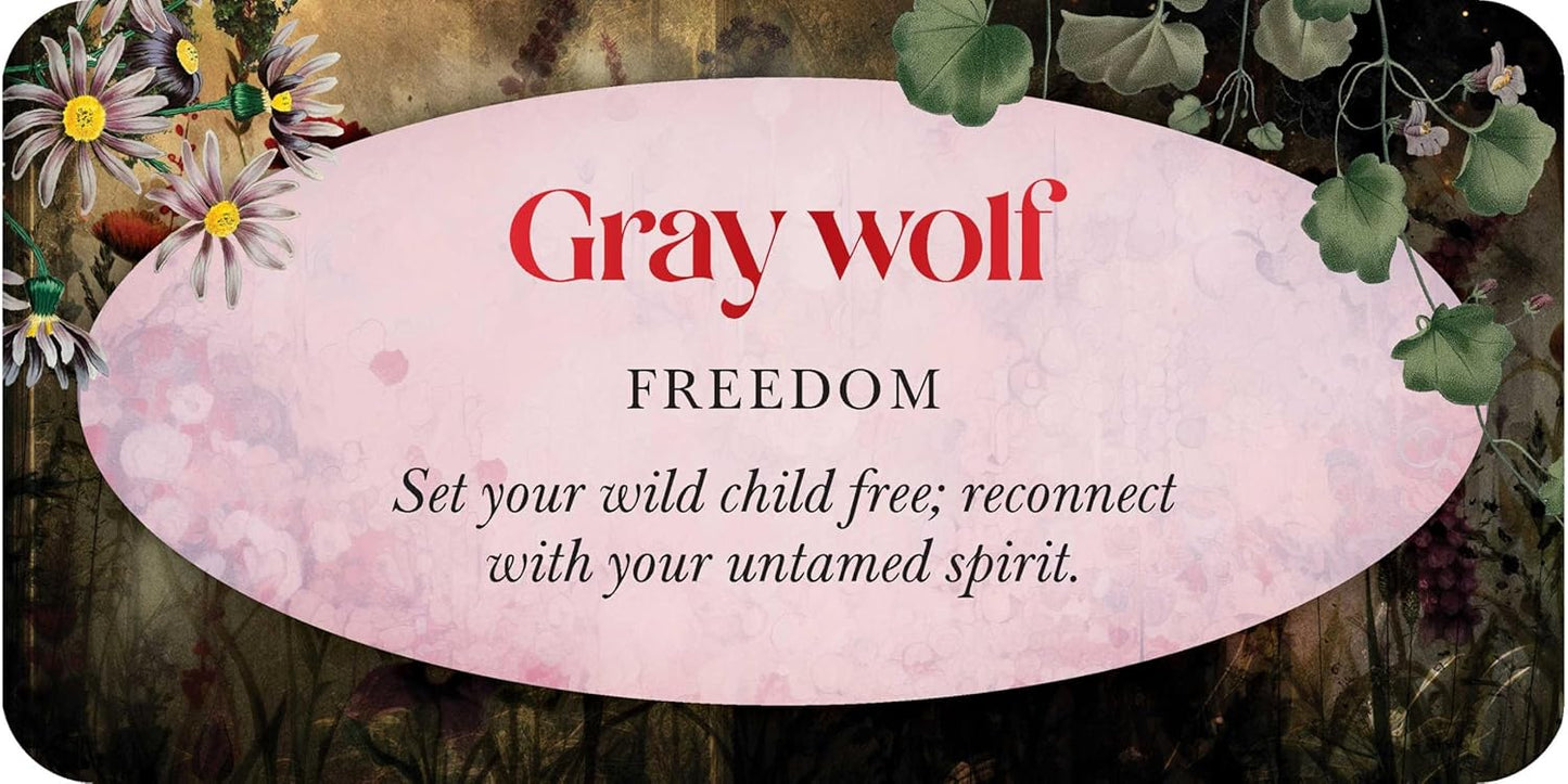 Animal Guide Mini Deck