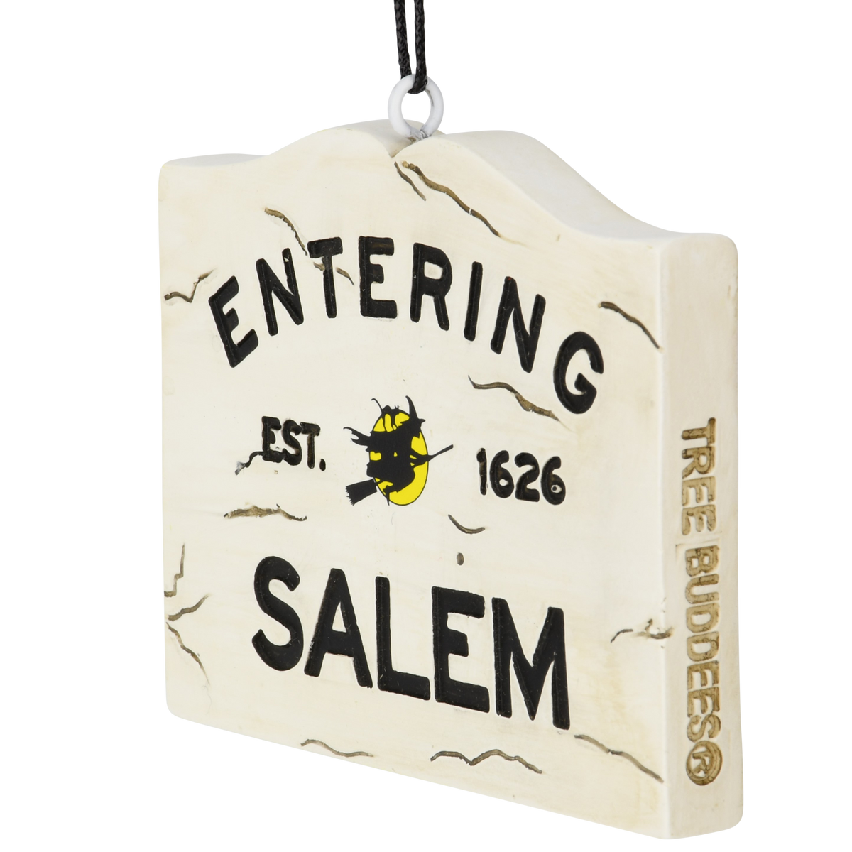 Entering Salem Sign with Witch Halloween Ornament
